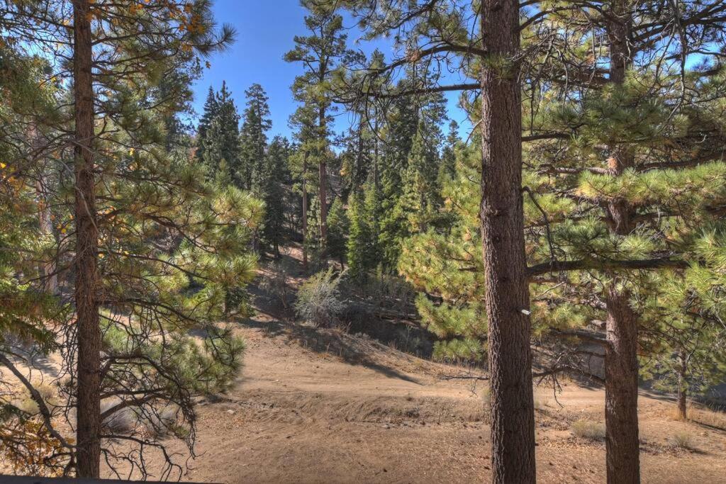 Everwood Serenity Treehouse Ontrail Head/Sledding Villa Big Bear Lake Bagian luar foto