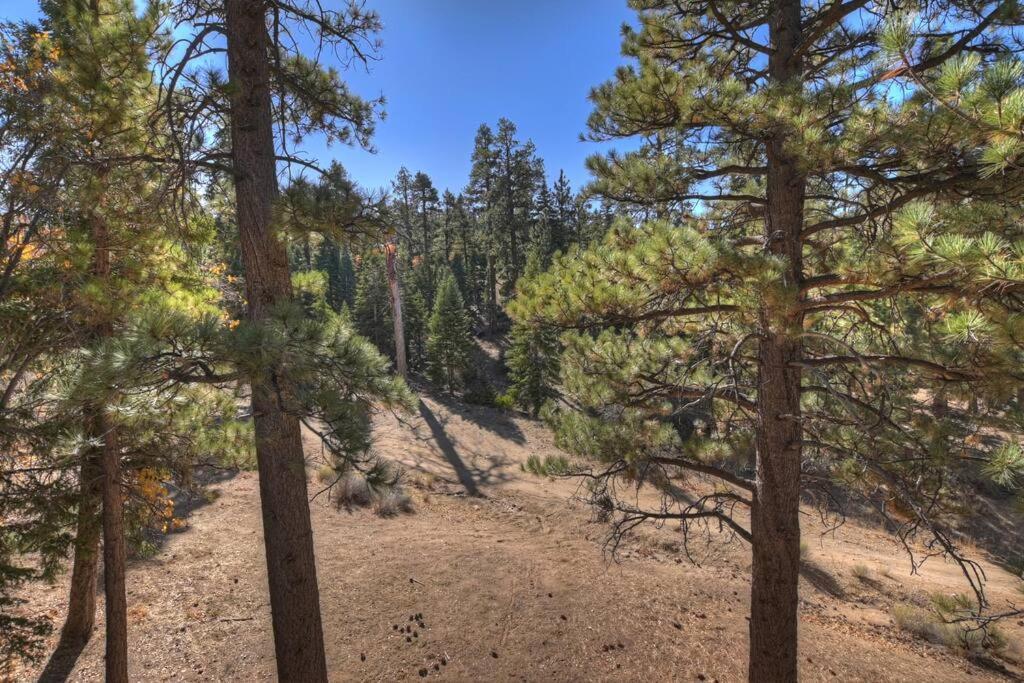 Everwood Serenity Treehouse Ontrail Head/Sledding Villa Big Bear Lake Bagian luar foto